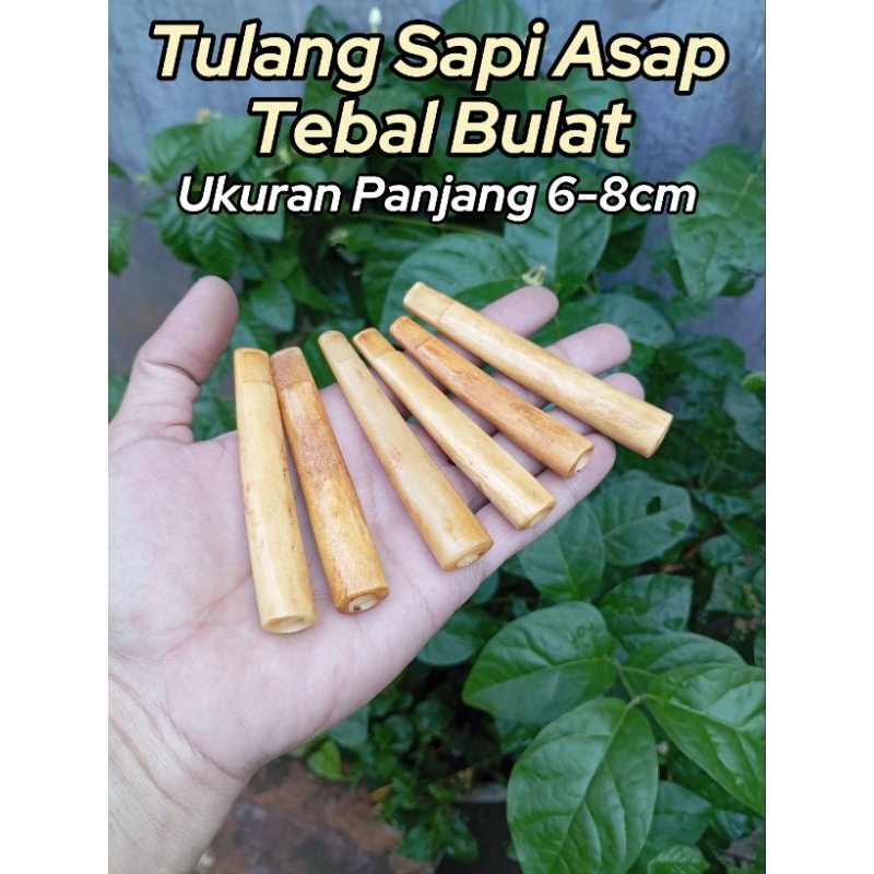ONCE / PIPA / PIPA TULANG SAPI ASAPAN / PIPA ROKOKO