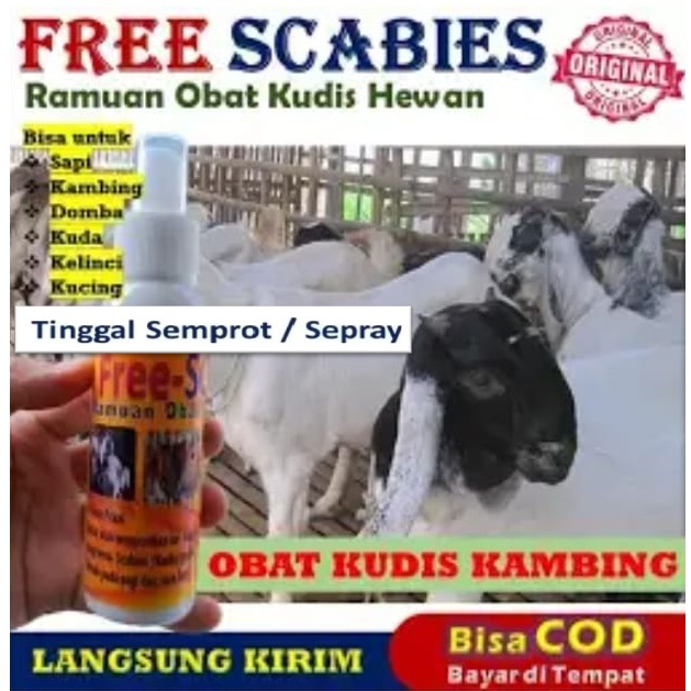 FREE SCUBIES, Obat Borok,  Gudik kambing, Domba, Kucing, kelinci, Sapi,Kuda