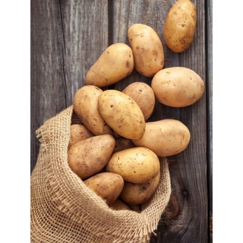

kentang Dieng 1kg premium super fresh