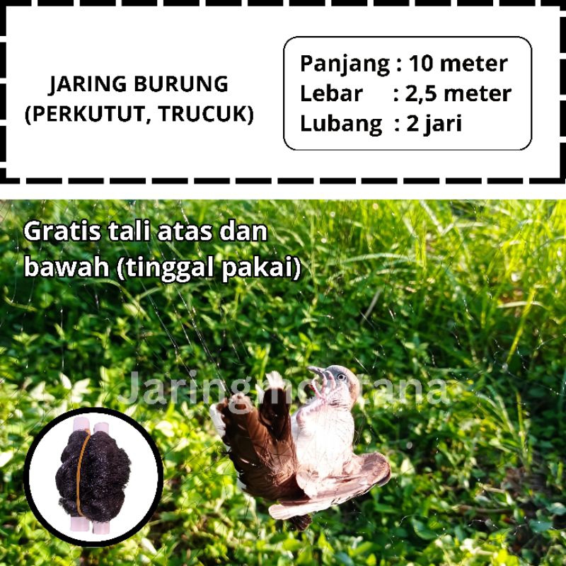 JARING BURUNG PERKUTUT PANJANG 10 X 2,5 METER JARING BURUNG KUTILANG JARING BURUNG SIAP PAKAI