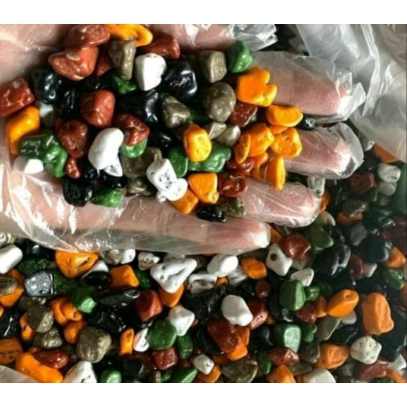 

Keripik Kaca dan Gulaan Cokelat