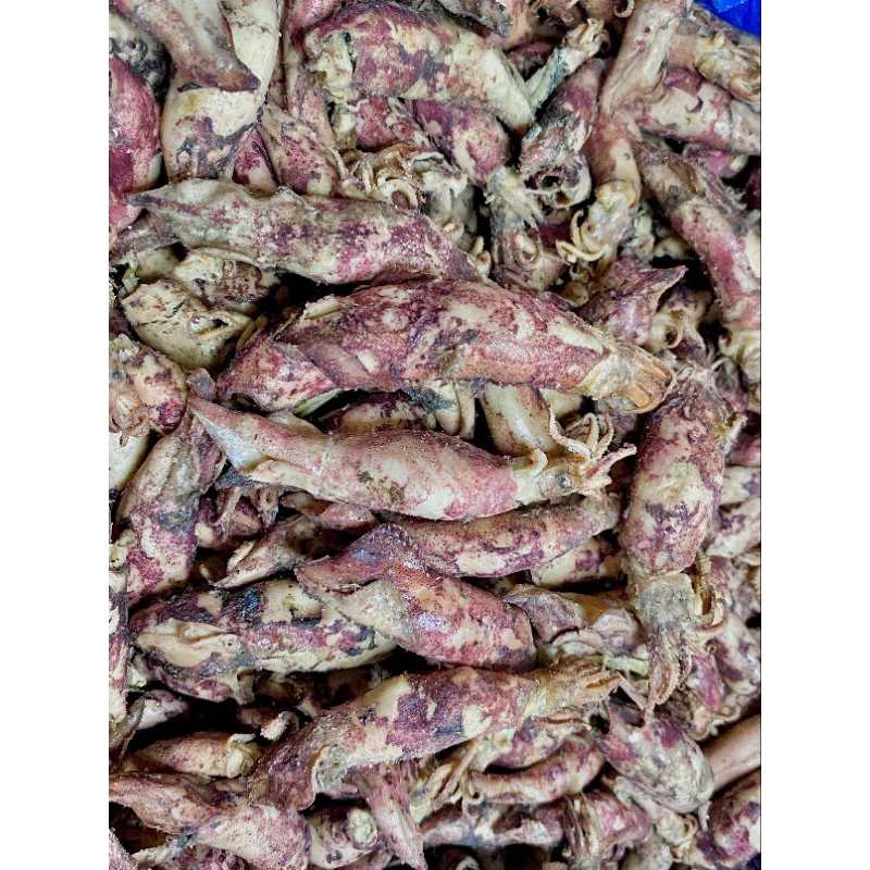 

Cumi Asin Jarum Super Dan Premium 100gr 13.000