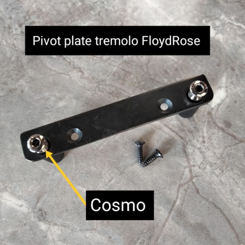 pivot plate tremolo FloydRose ibanez dame cort