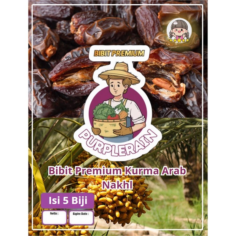 Bibit Premium Buah Kurma Arab Nakhl |Biji Benih Pohon Kurma Manis|Bibit Kurma