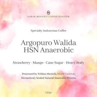 

Argopuro Walida HSN Anaerobic - Filter 150g