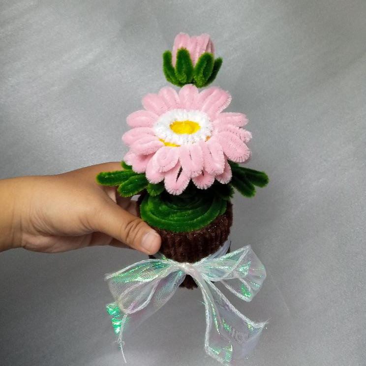 Bunga Garbera kawat bulu/Garbera pot kawat bulu/bunga Garbera/bunga kawat bulu