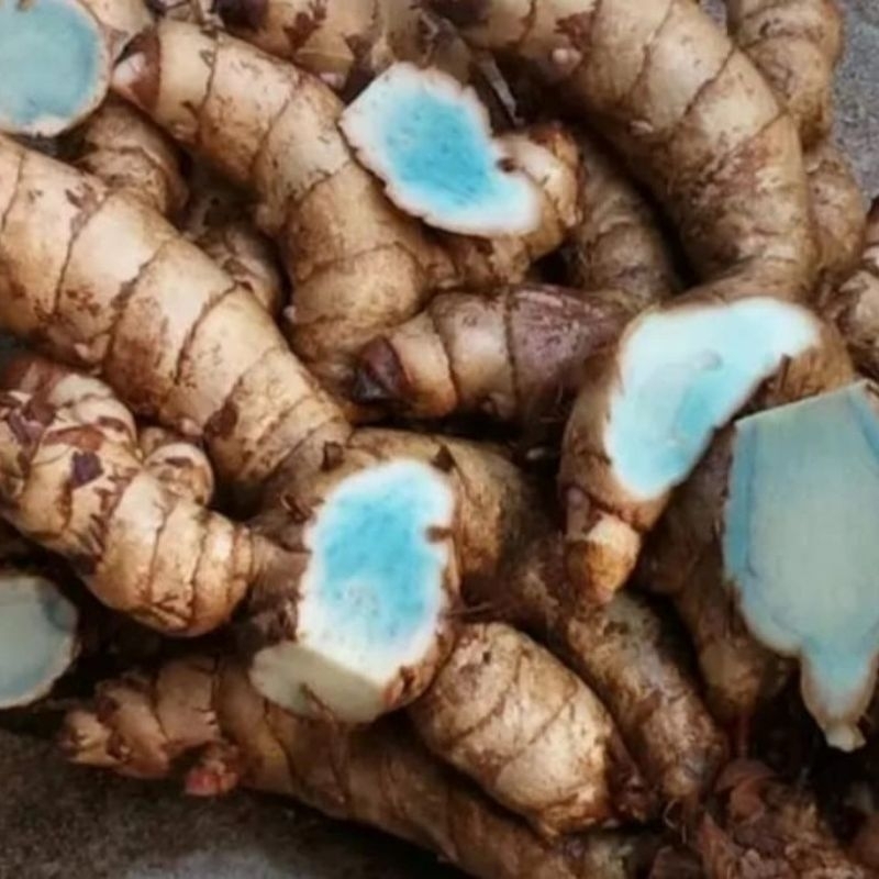 

Kunyit hitam atau Temu ireng segar netto 1 kg