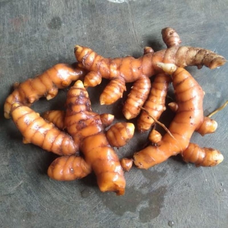 

Kunyit sayur segar asli netto 500 gram