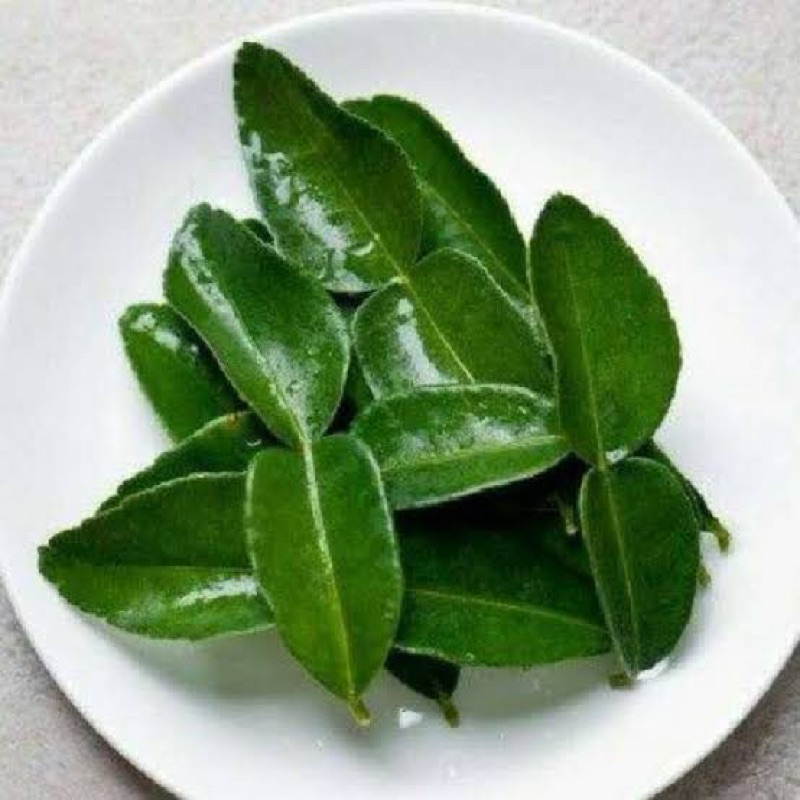 

jaun jeruk fresh petik dari pohon