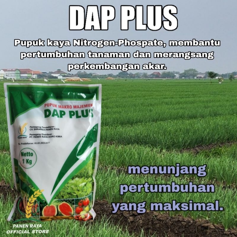 DAP Plus 1kg, pupuk susulan tinggi Phospate