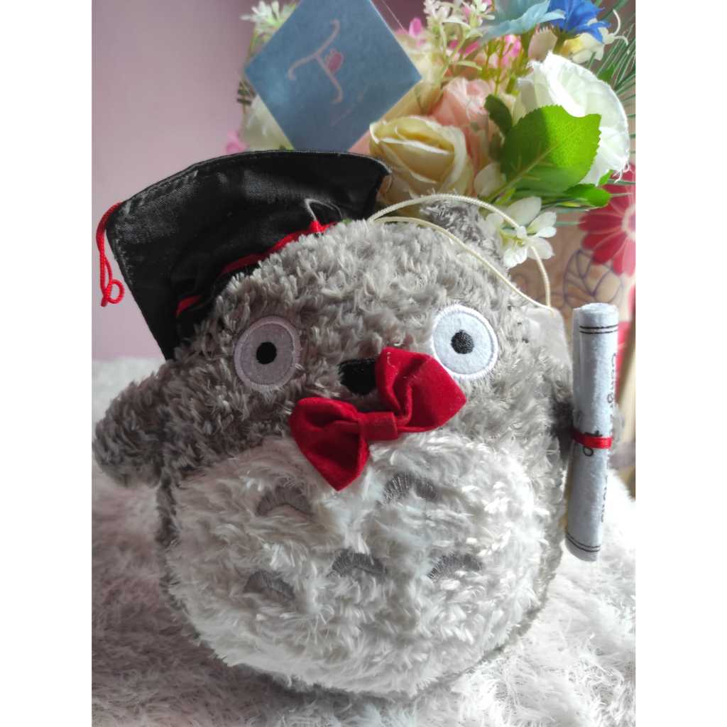 Boneka wisuda lucu totoro