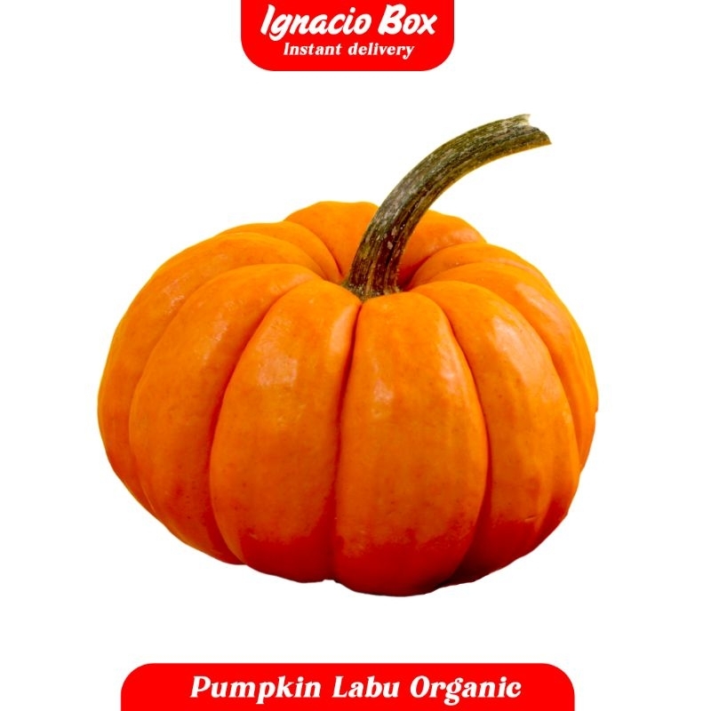 

Pumpkin Labu Kuning Segar Organic IgnacioBox