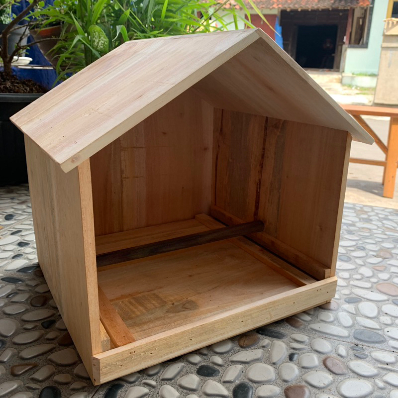 RUMAH BURUNG HANTU CELEPUK