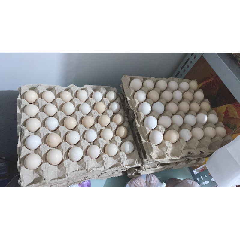 

Telor Ayam Kampung 30 butir per tray