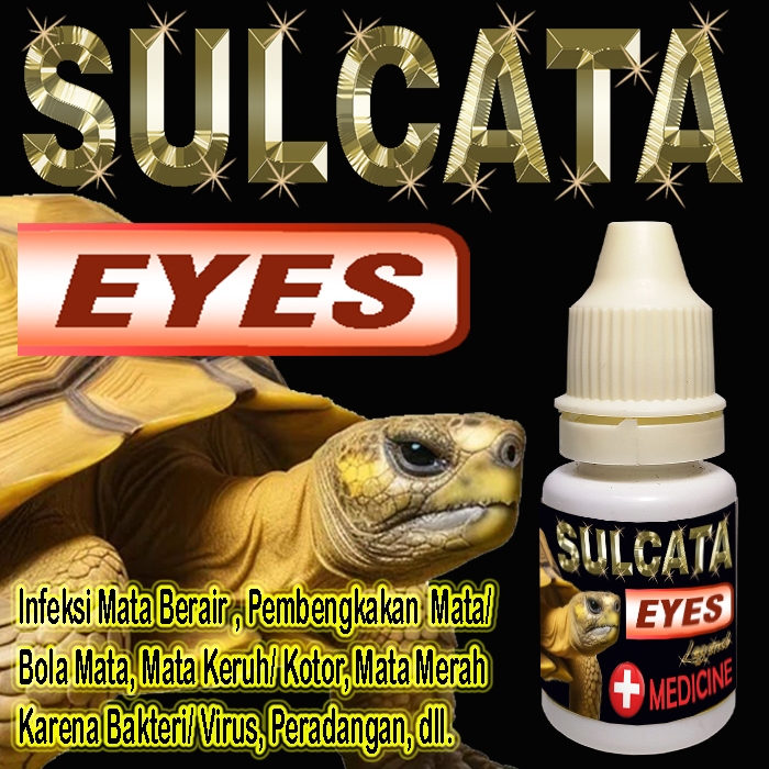 SULCATA EYES OBAT TETES MATA CENTROCHELYS SULKATA TORTOISE REPTILE KURA-KURA DARAT MENGOBATI MATA KU