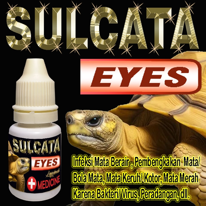 SULCATA EYES OBAT TETES MATA TORTOISE CENTROCHELYS SULKATA REPTILE KURA-KURA DARAT OBAT MATA KURA BE