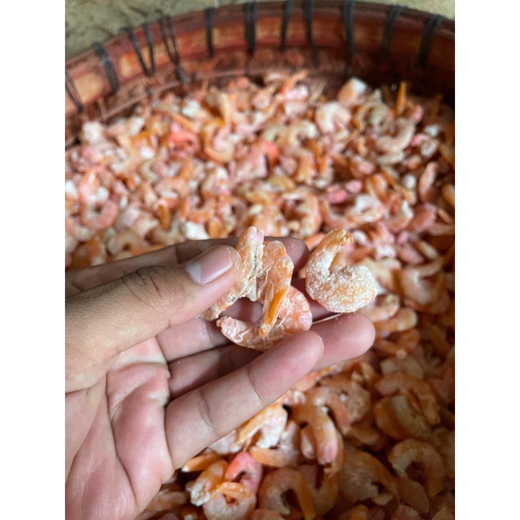

Ebi Udang Gresik Berkualitas Ukuran Sedang 100 Gram