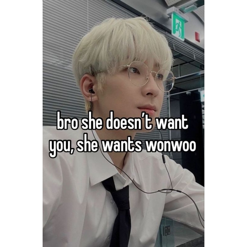Wonwoo LD Soundwave Your Choice