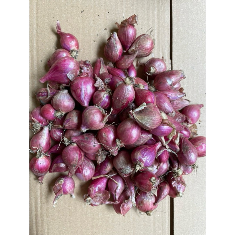 

BAWANG MERAH LOKAL 1 KG