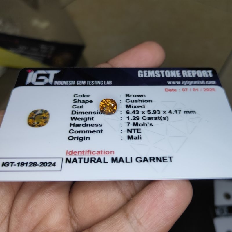 NATURAL MALI GARNET MEMO IGT LAB 19128
