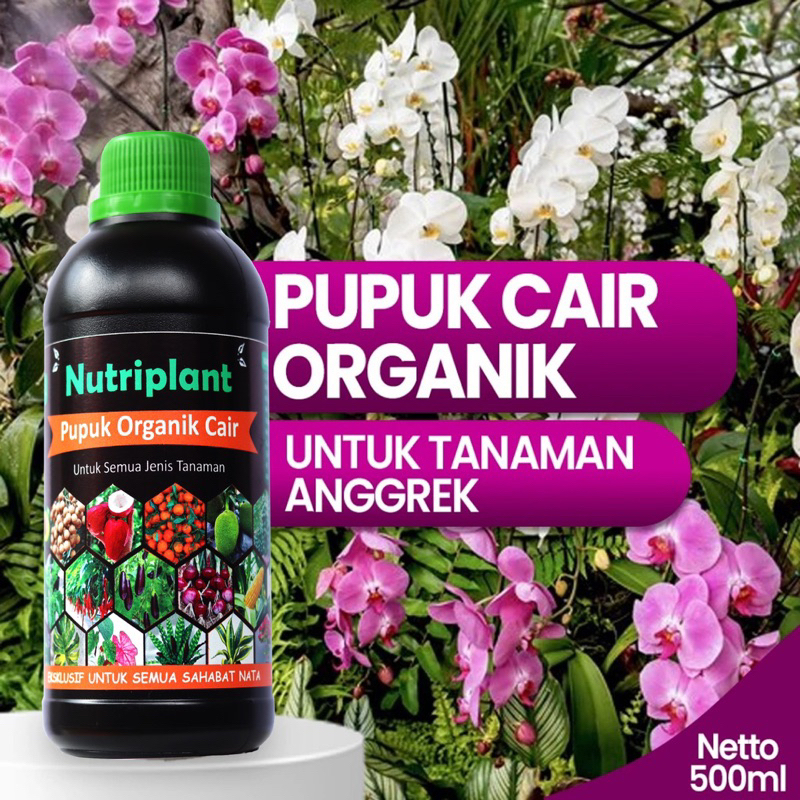 Pupuk Anggrek | Pupuk Organik Cair Bunga Anggrek | Pupuk Bunga