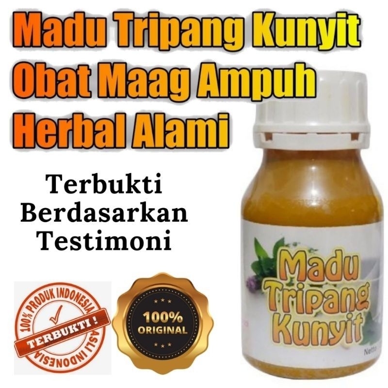 

MADU TRIPANG KUNYIT ORIGINAL HERBAL MAAG KRONIS ASAM LAMBUNG DAN GERD - MADU TRIPANG