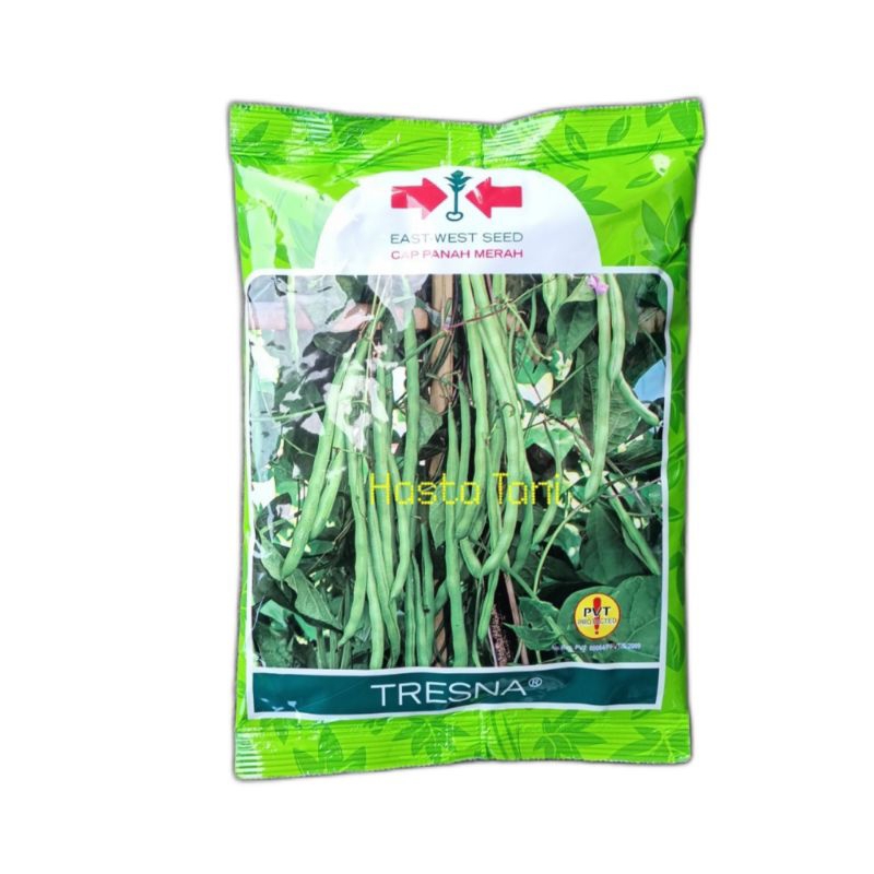 Benih Buncis TRESNA 500GR