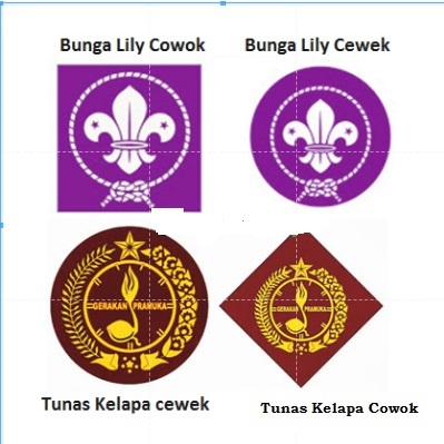 ATRIBUT PRAMUKA /BET PRAMUKA BUNGA LILY DAN TUNAS CEWE/COWO.