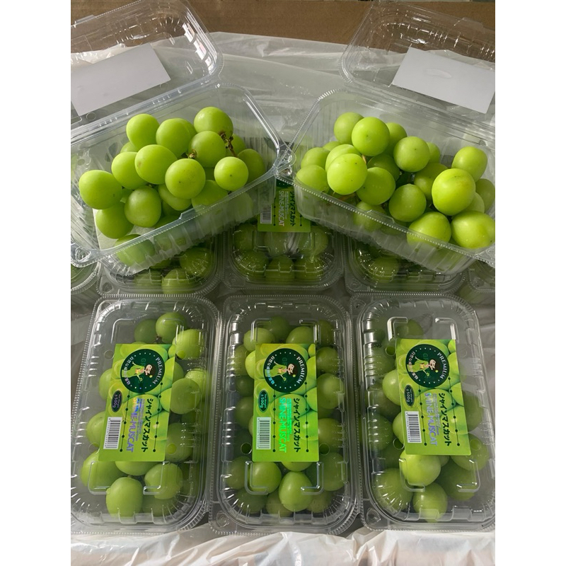 

ANGGUR SHINE MUSCAT IMPORT