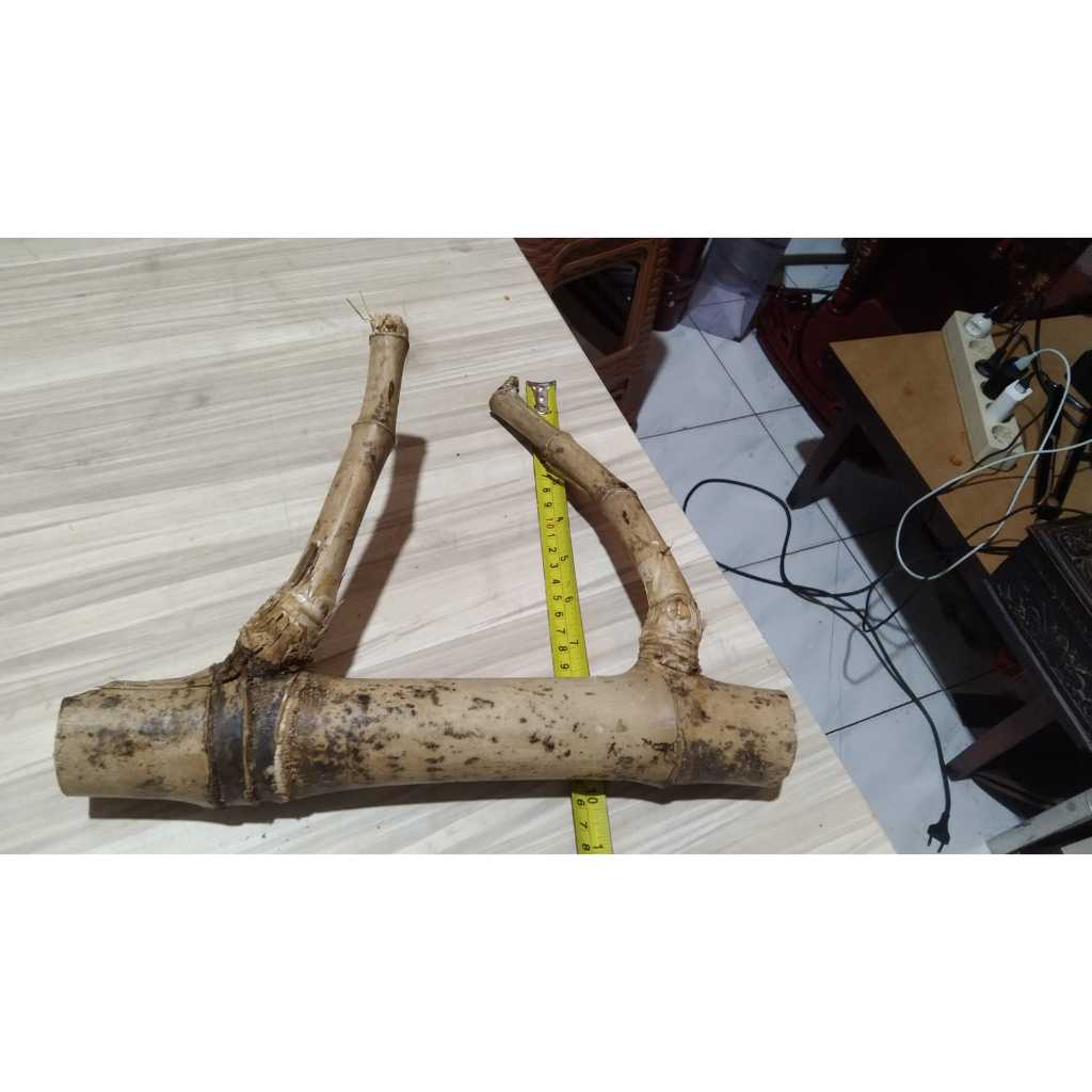 Bambu Unik Asli Seperti Bambu Pethuk