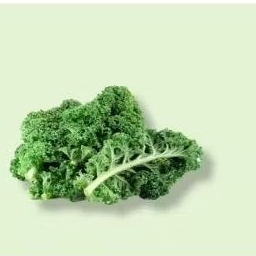 

kale 250grm.Rp.11.000