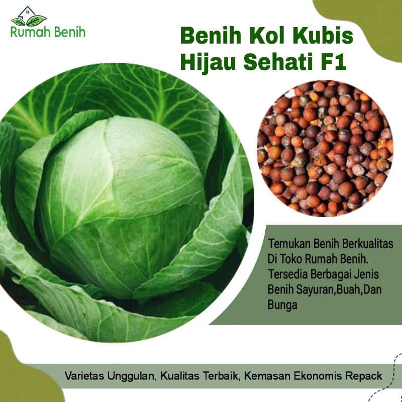 Benih Kol Kubis Hijau Sehati F1 / Bibit Benih Kol Hijau / Biji Benih Kubis Hijau Super / Benih Sayur