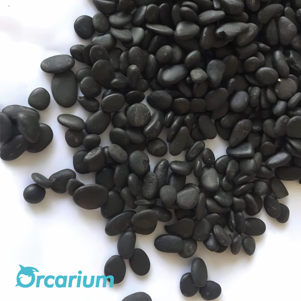 Batu Koral hitam Ukuran Kecil Batu Alor Dekor Aquascape Akuarium