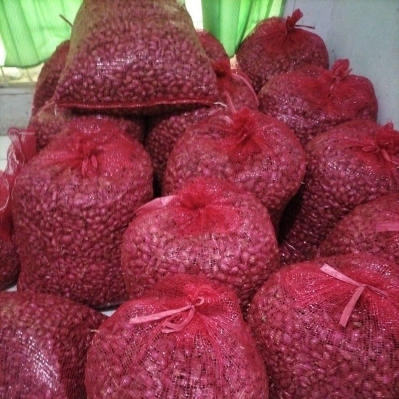 

bawang merah Brebes foto asli