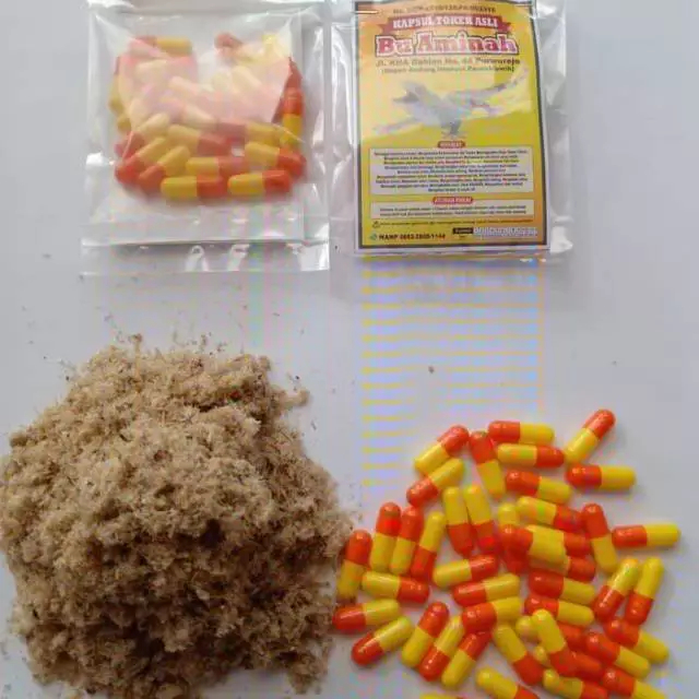 

obat tradisonal herbal kapsul tokek asli bu aminah isi 15 kapsul meningkatkan daya tahan tubuh kulit