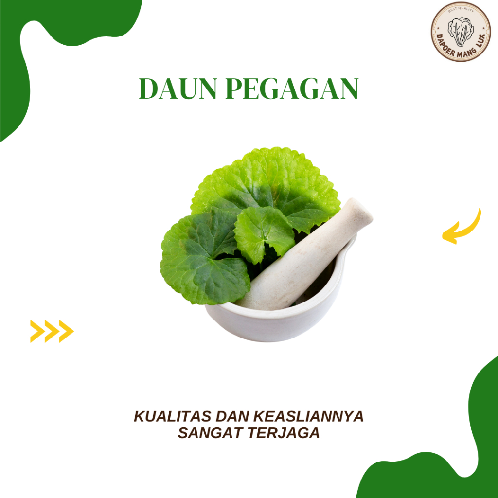

DRIED SERBUK DAUN PEGAGAN BEST SELLER