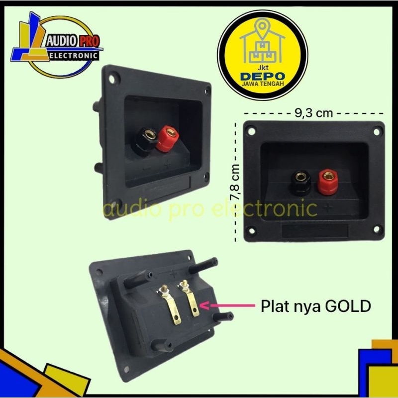 TERMINAL SPEAKER KOTAK + BINDING POST GOLD