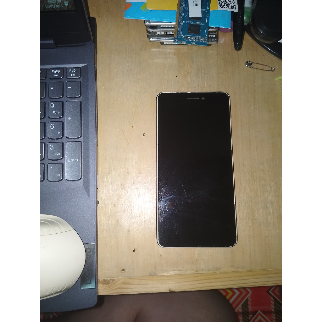 Blaupunkt Soundphone S2