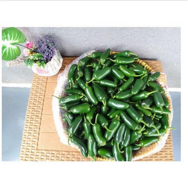 

CABAI JALAPENO MEKSIKO 200 GRAM
