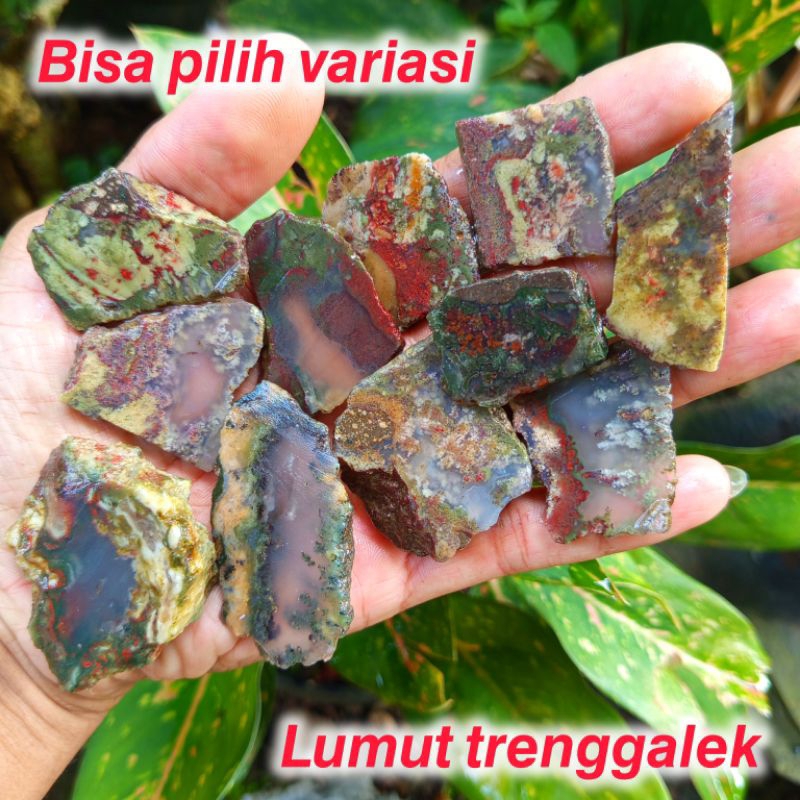 lumut trenggalek/bahan lumut trenggalek/lempengan lumut trenggalek/bongkahan batu lumut trenggalek m
