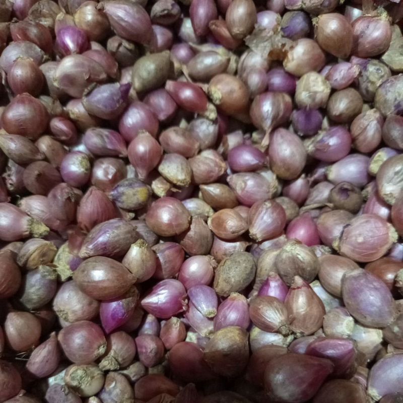 

(AOL) Promo Opening Offline Shop-Bawang Merah Sambelan