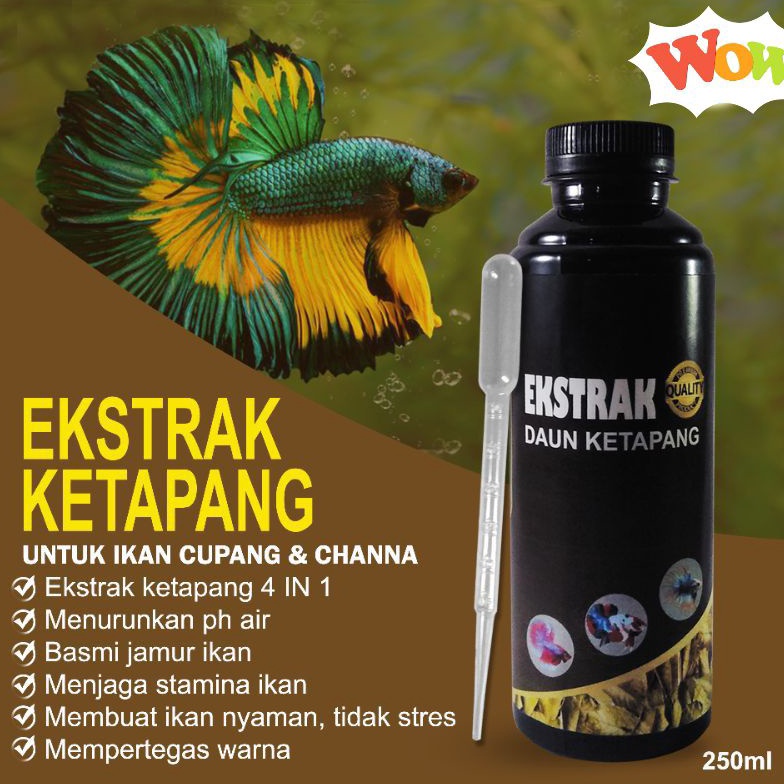 Extra deals Extrak Daun Ketapang 25ml Super Pekat Untuk an Ikan Channa Cupang