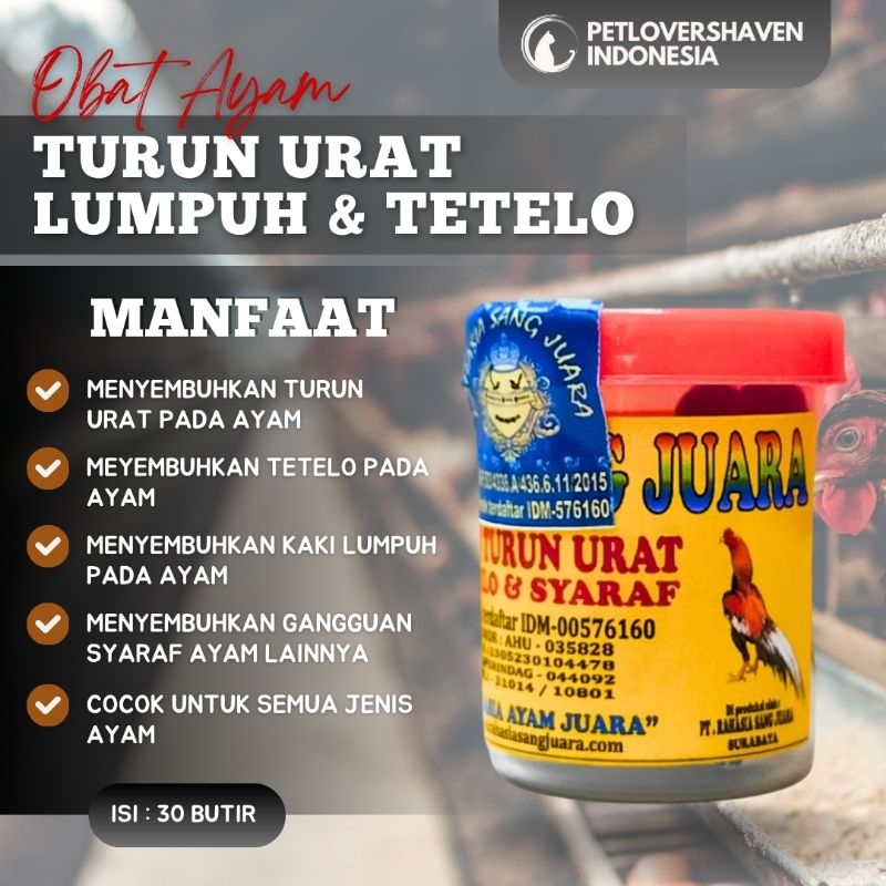 OBAT AYAM TURUN URAT OBAT AYAM LUMPUH BENGKAK TOLETO OBAT SYARAF AYAM PALING AMPUH & TERLARIS
