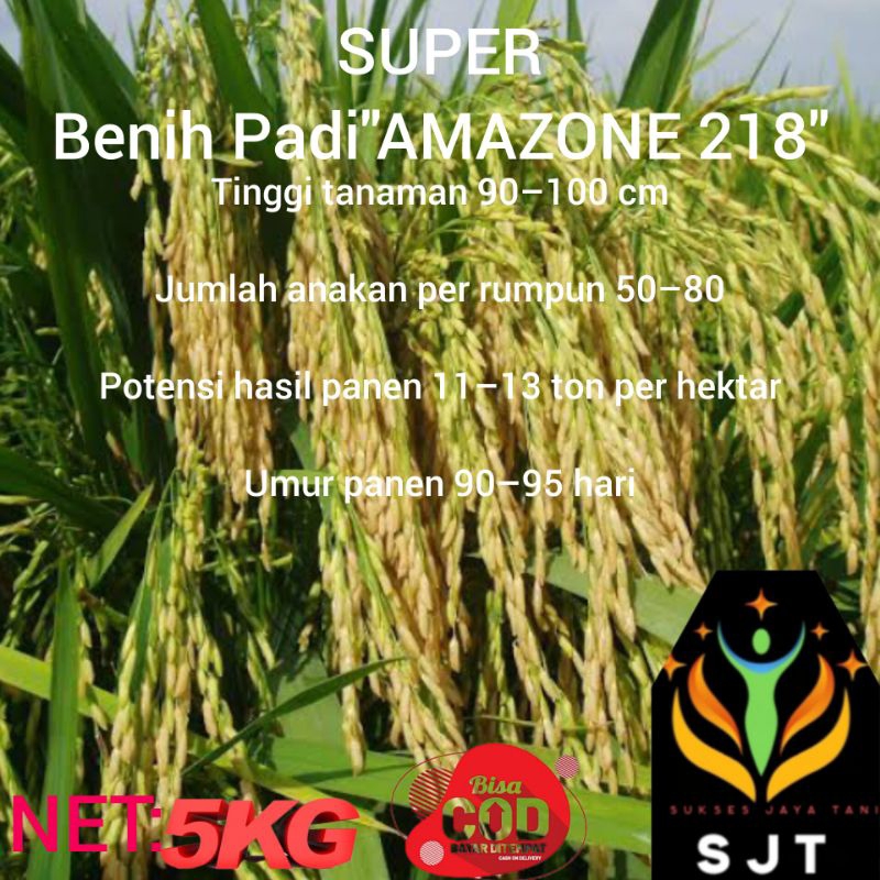 Benih Padi AMAZONE 218 Kemasan 5Kg Kualitas Super Unggul