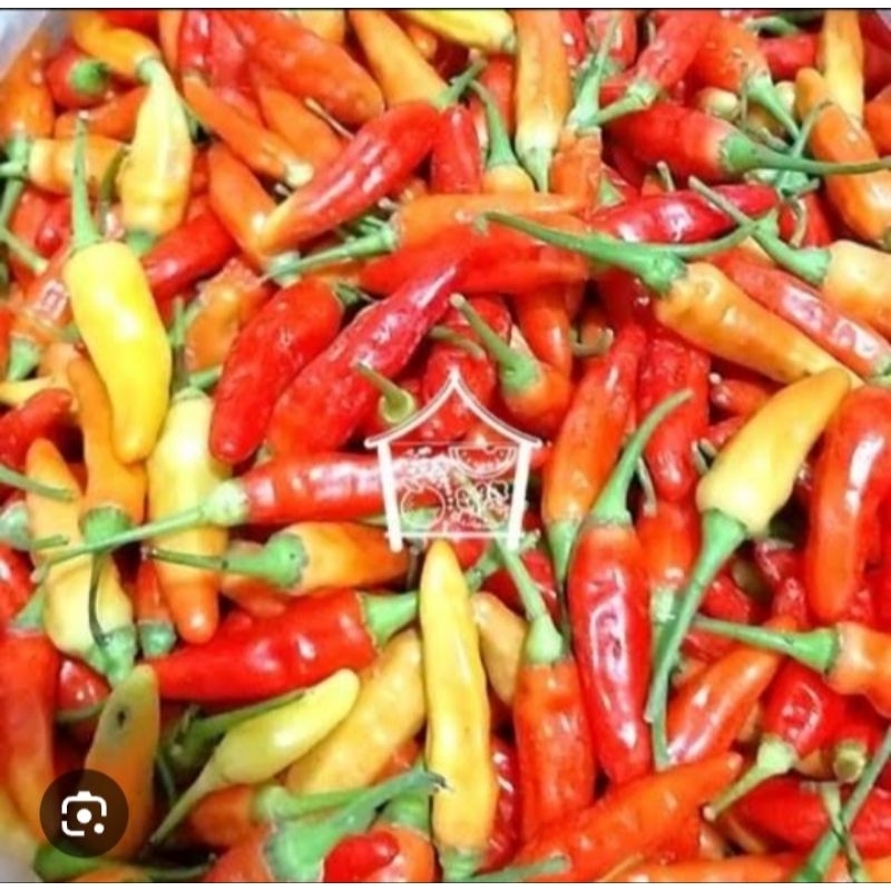 

1kg Cabai Rawit Merah segar