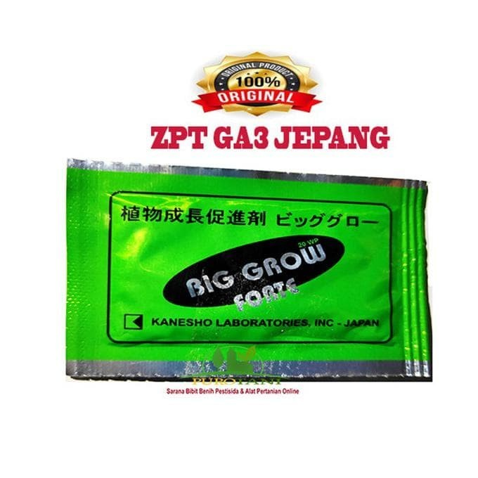 ZPT BIG GROW FORTE Kecil - 1 Gram