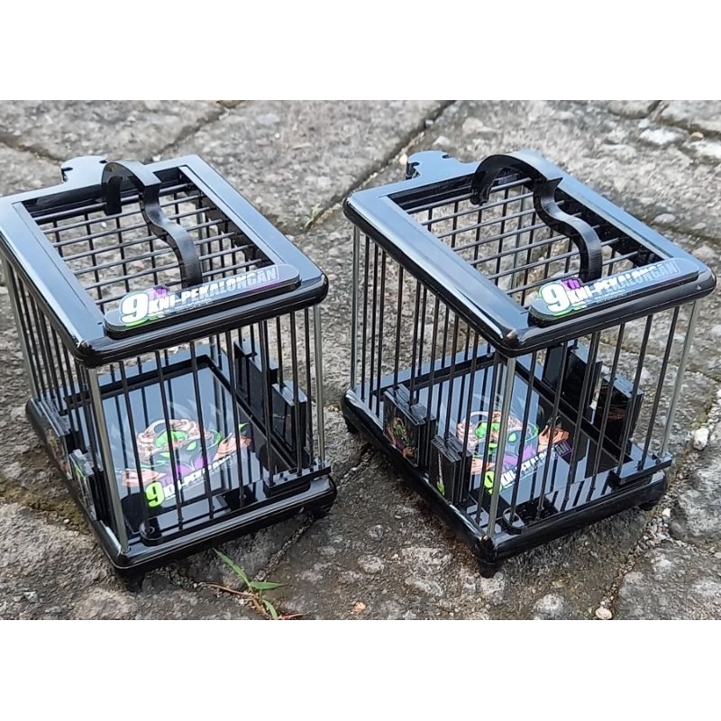 Sangkar Untulan Konin Custom Bisa Reques