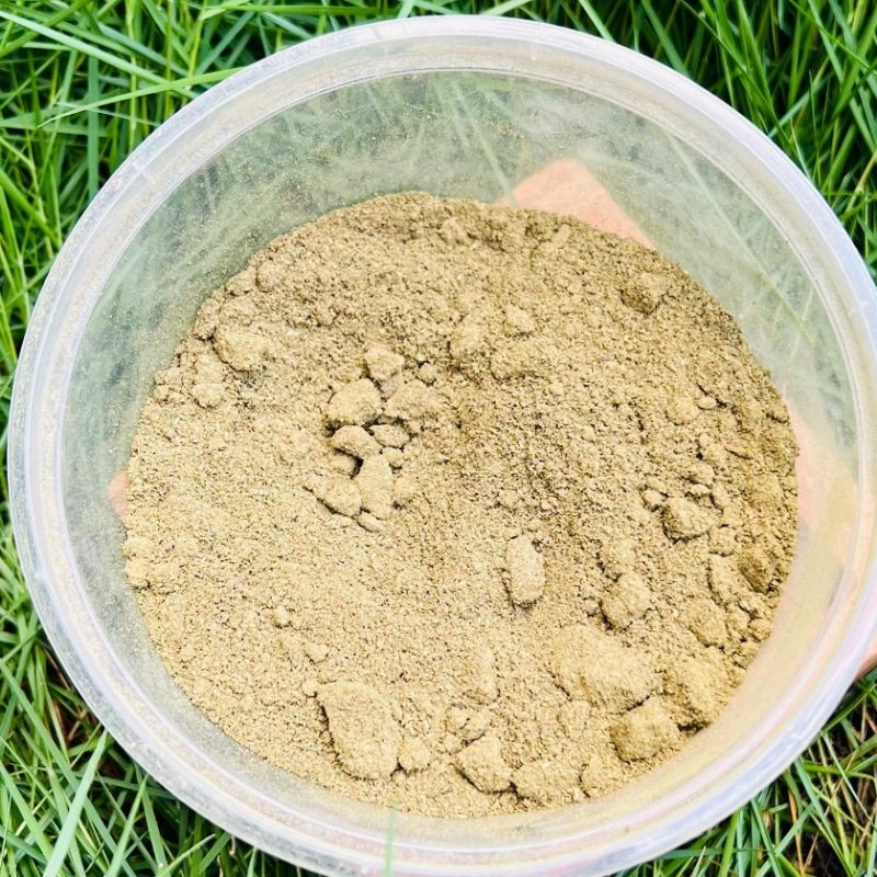 

(50gr) Ginseng Jawa Kolesom Jawa Som Gingseng Jawa Bubuk Murni Tradisional Herbal Jurus Sehat Rempah JSR