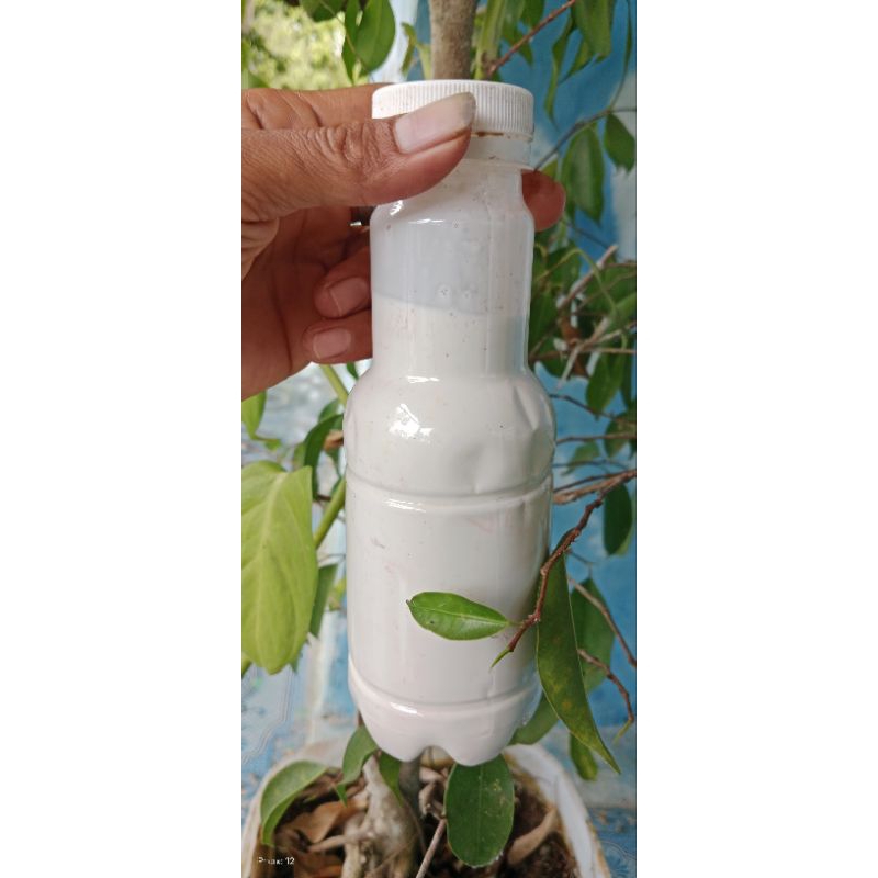 

lem getah karet mentah asli original, kemasan 300mil, daya rekat yang elastis