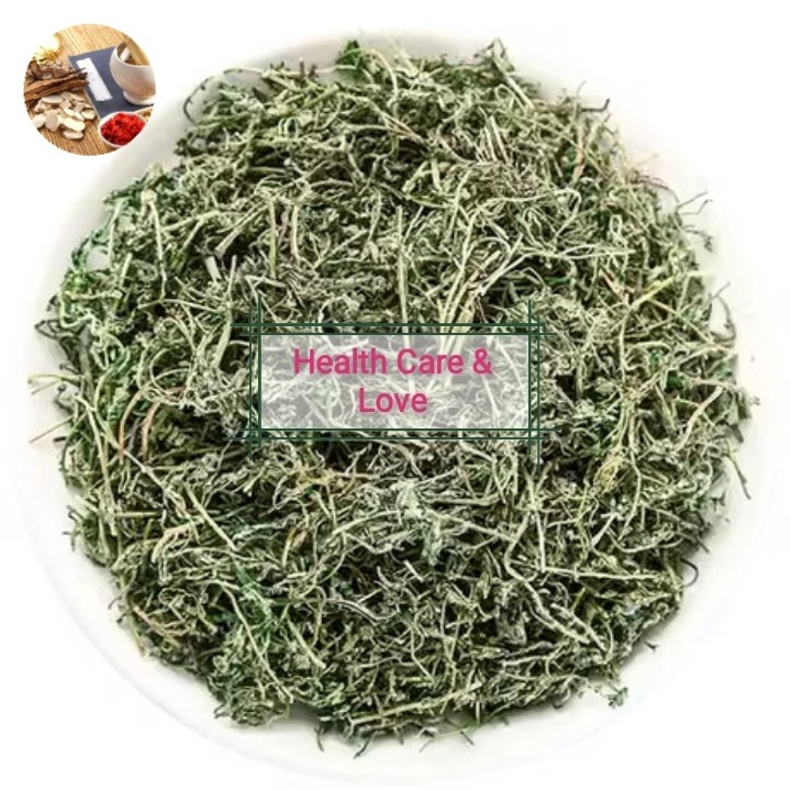 

Er bu shi cao Epaltes 鵝不食草 Small Centipeda Grass 50 Gr
